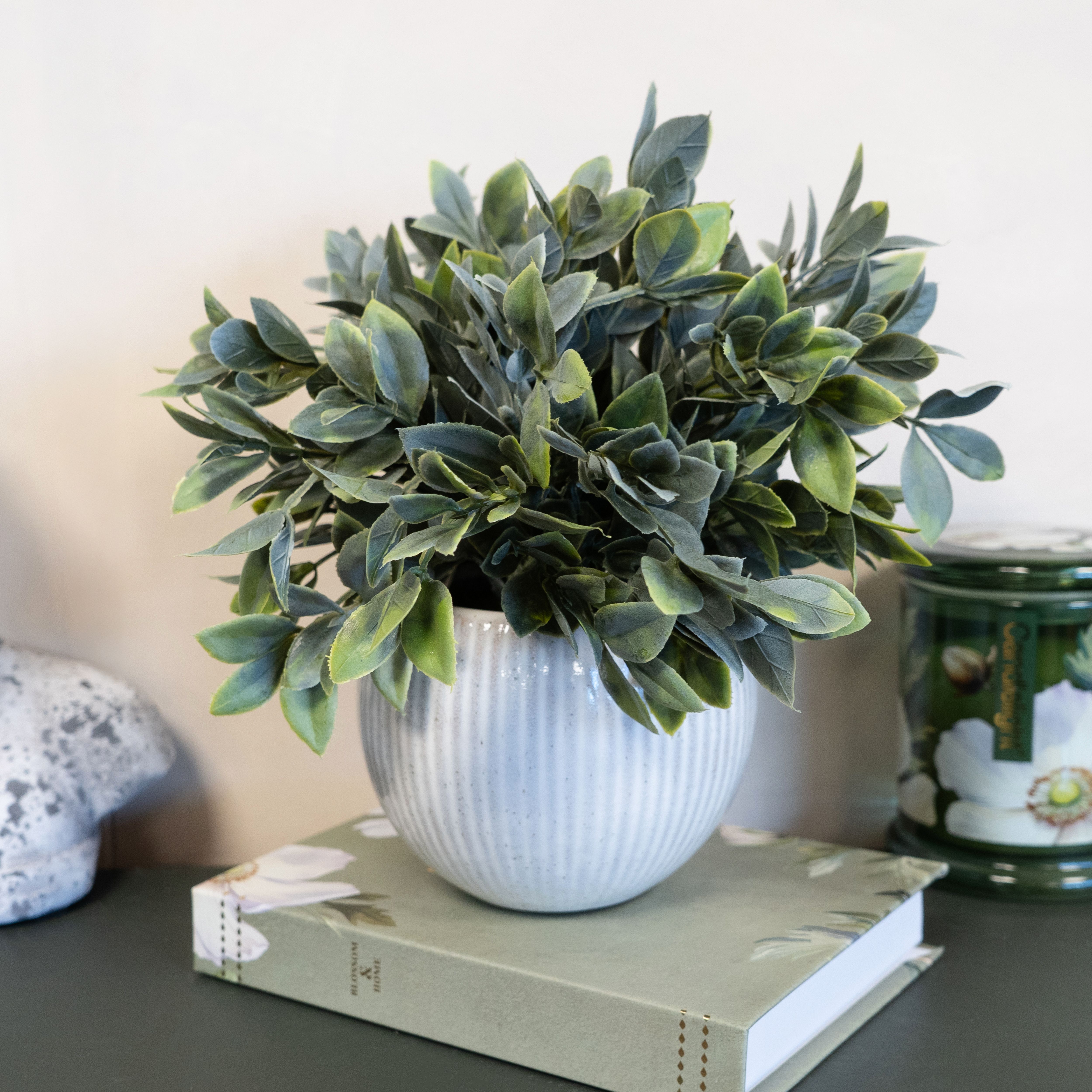 Green & Cream 26cm Fern Artificial plant in Cream Ceramic Ribbed Pot