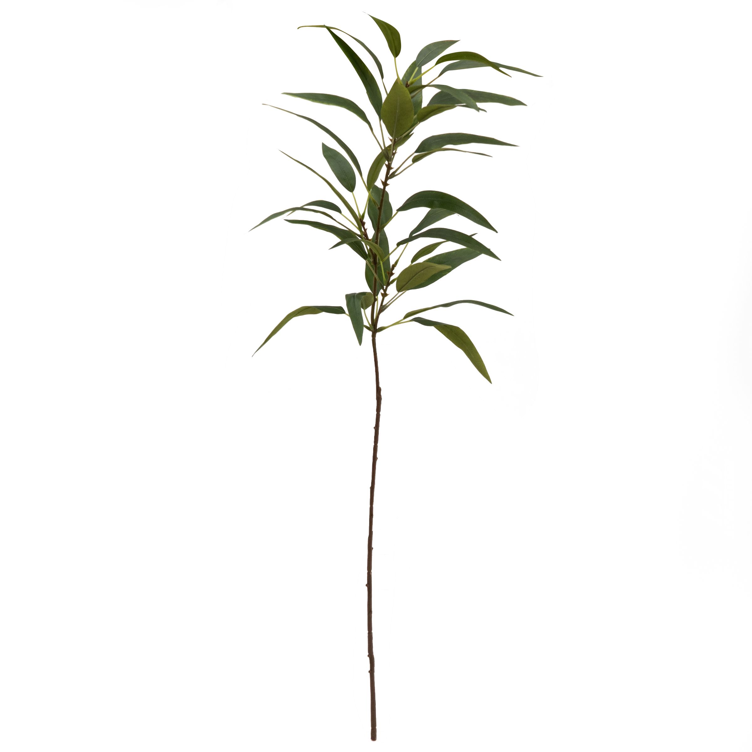 Green Eucalyptus Long Single stem Artificial foliage (H) 950mm