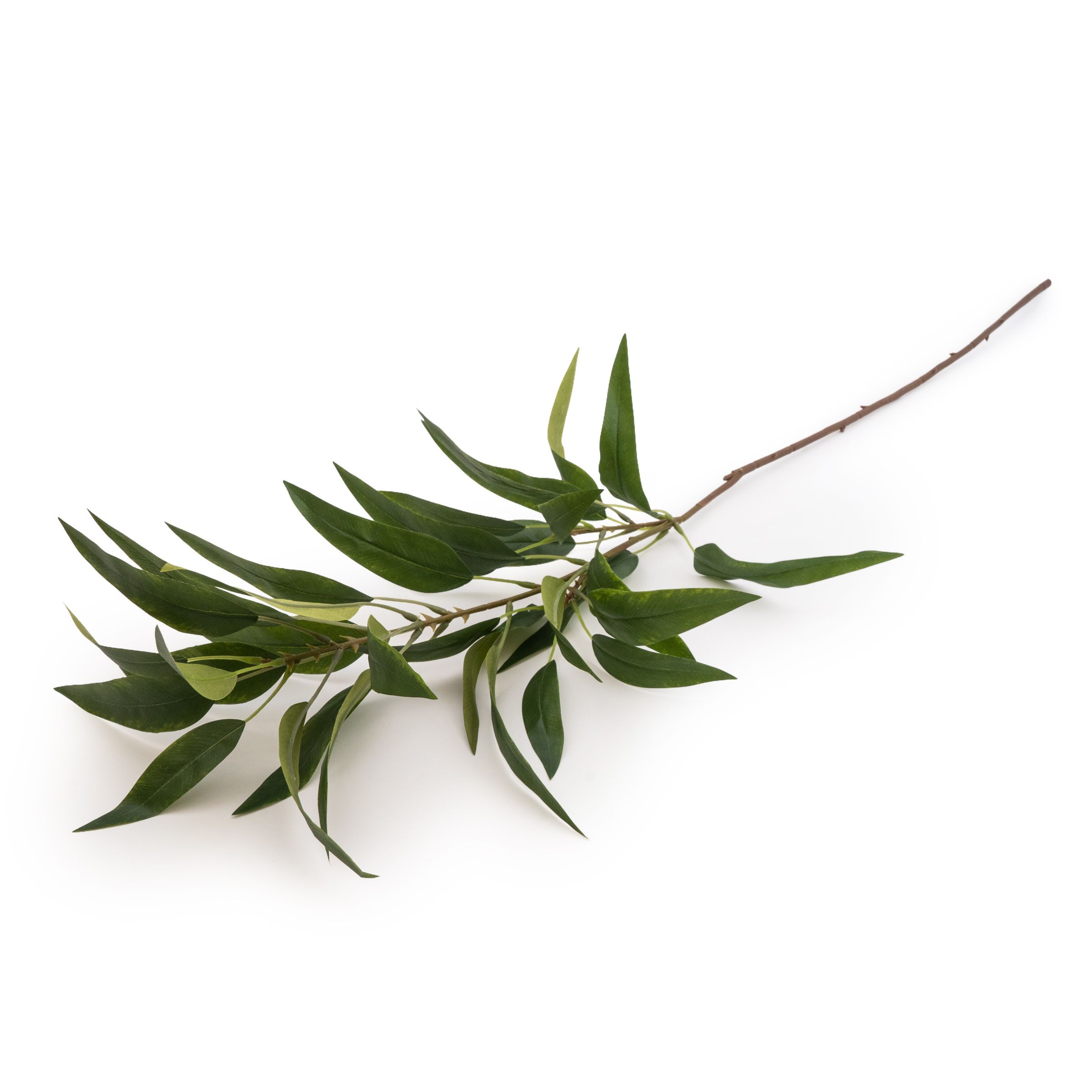 Green Eucalyptus Long Single stem Artificial foliage (H) 950mm