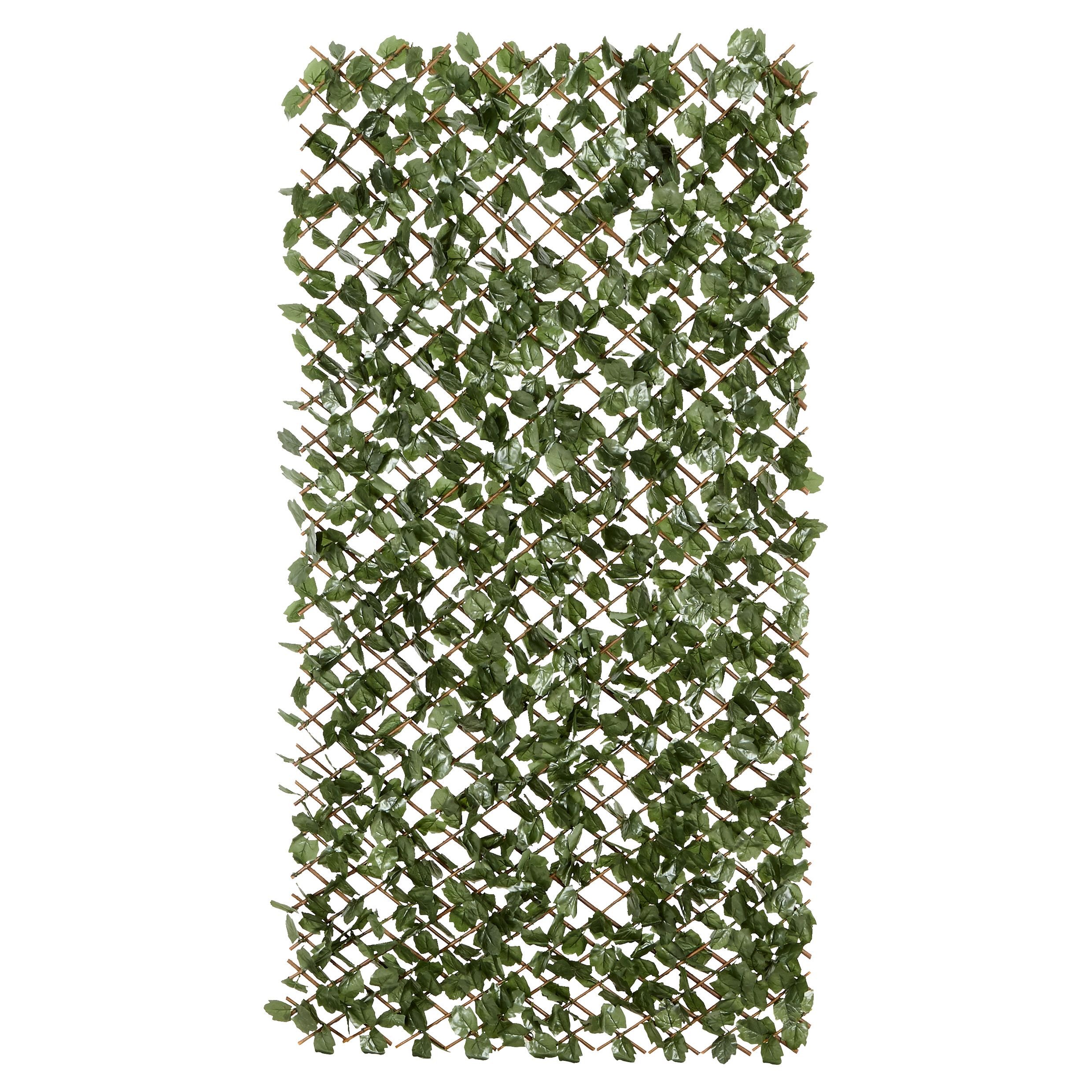 Green Garden screen (H)1m (W)2m DIY at B&Q