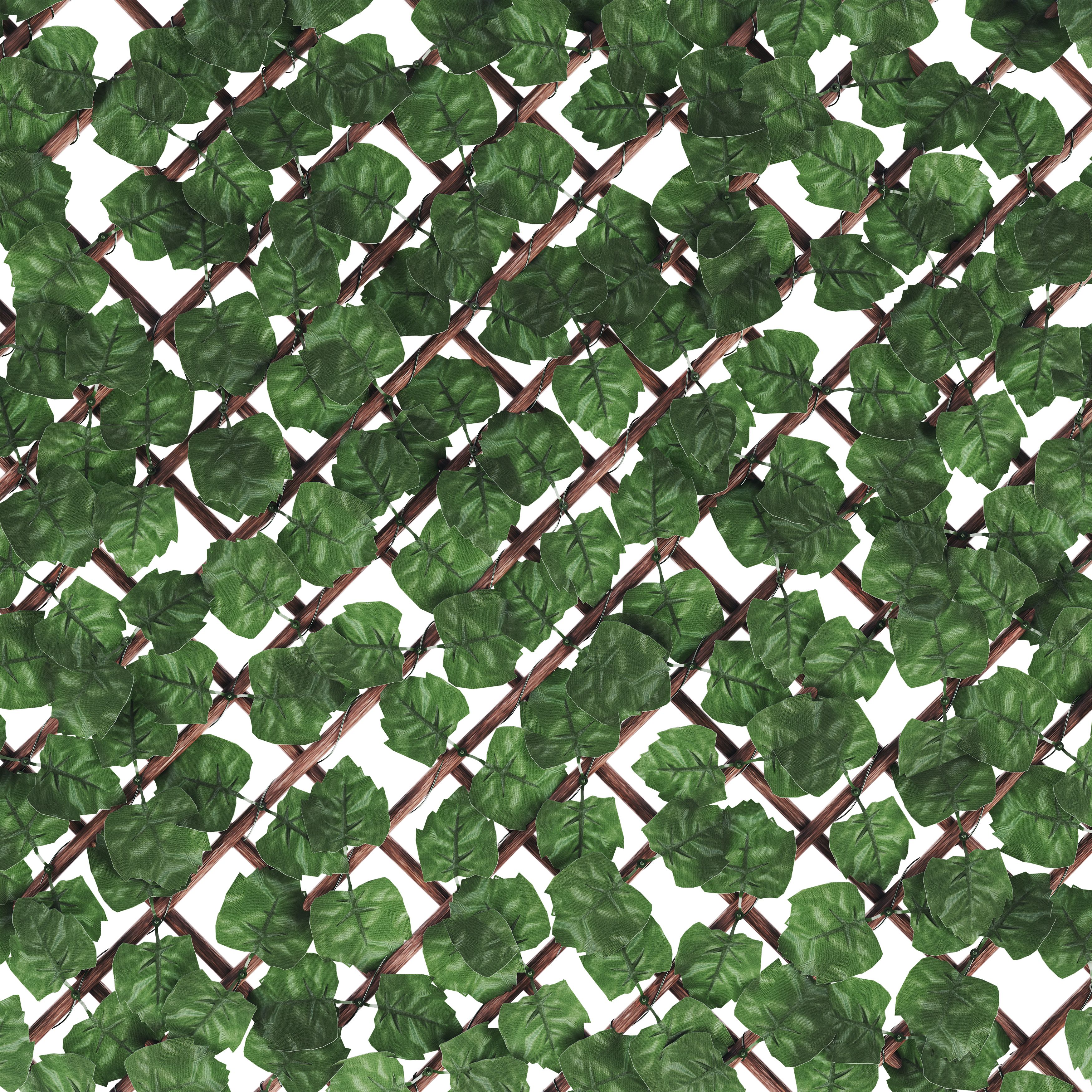 Green Garden screen (H)1m (W)2m