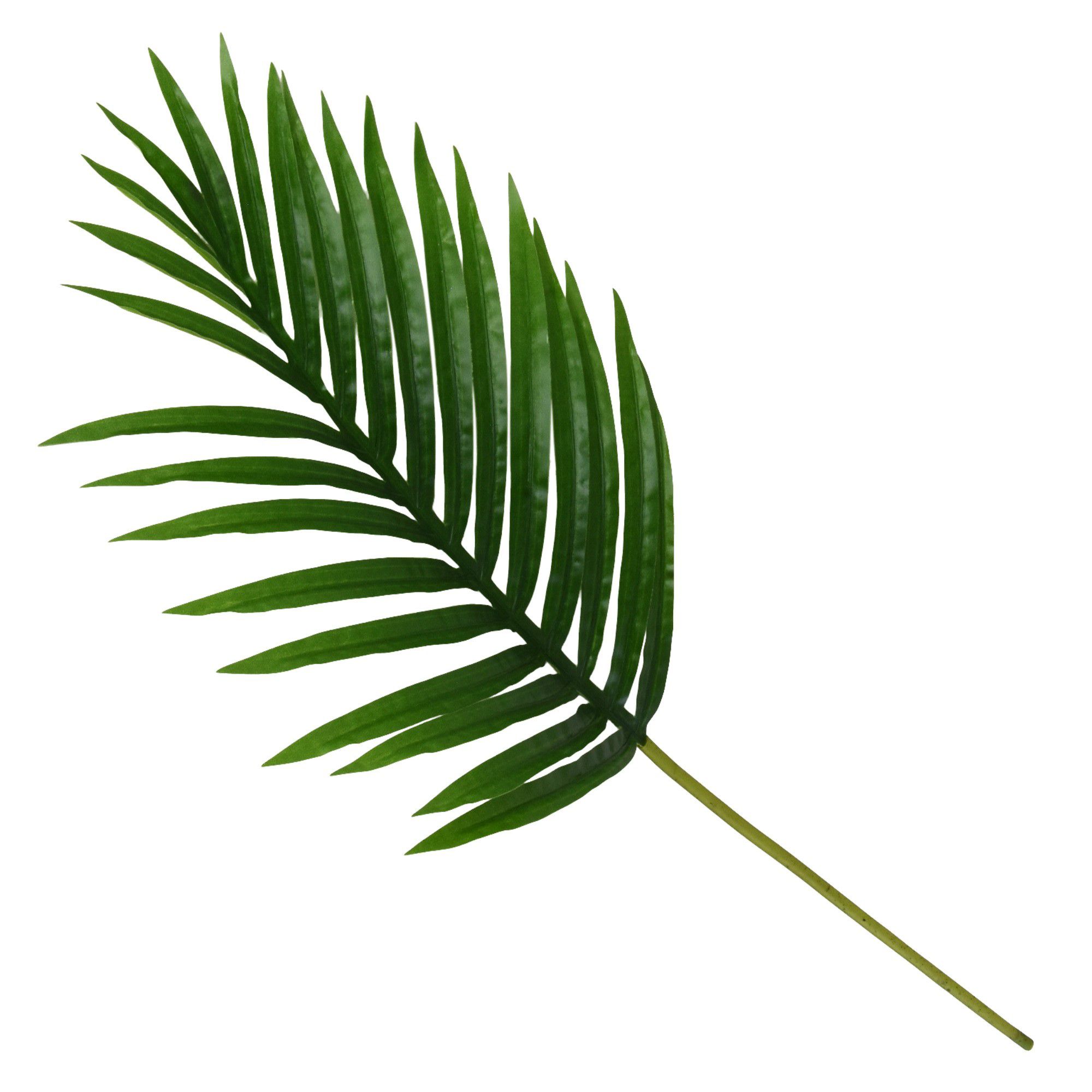 Green Mini palm leaf Single stem Artificial foliage (H) 645mm