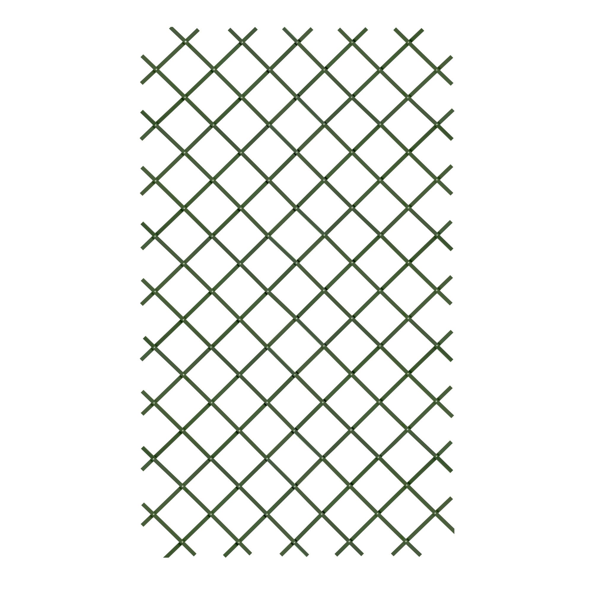 Green Plastic Trellis (W)100cm x (H)200cm DIY at B&Q