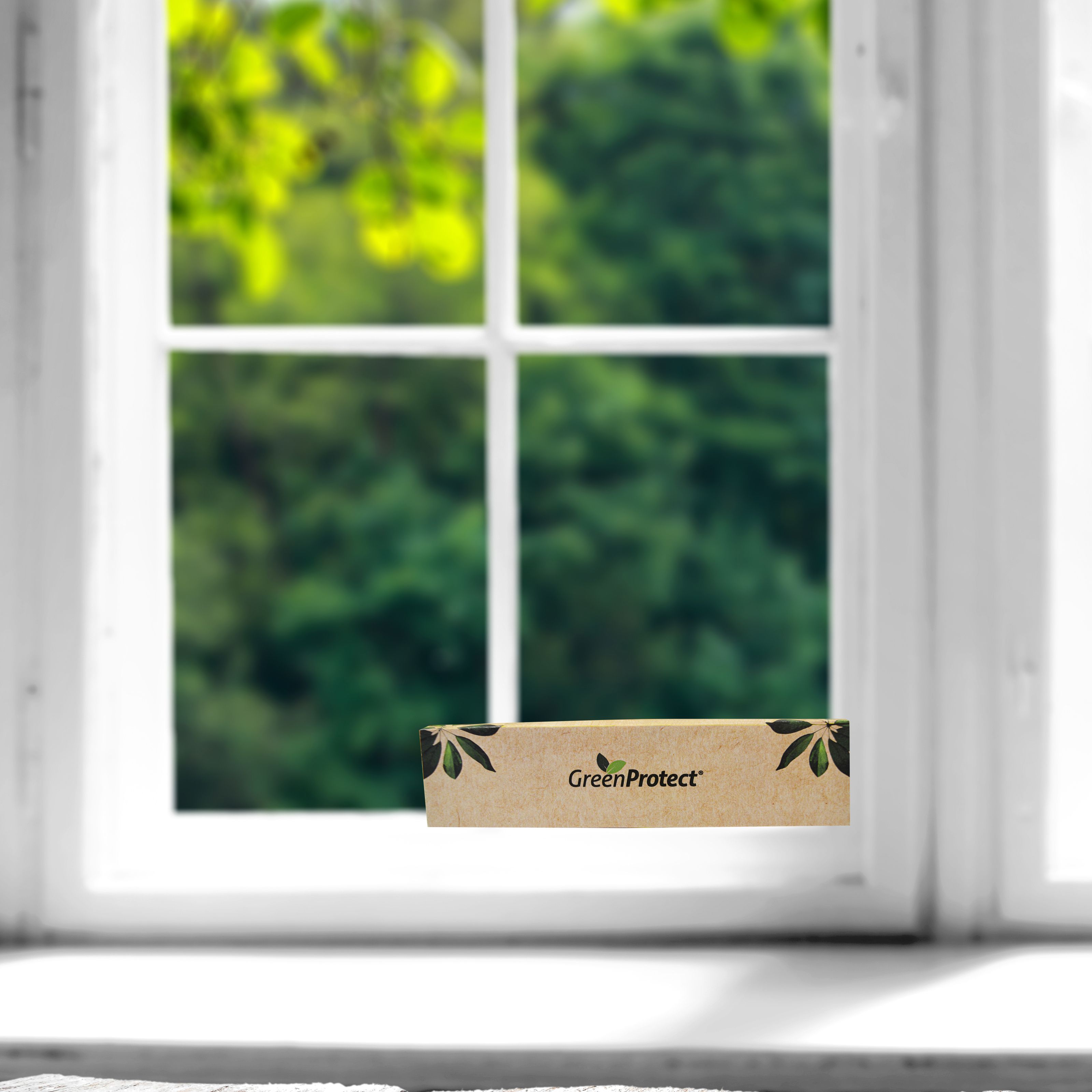 Green Protect Discreet Fly Trap, Pack of 3