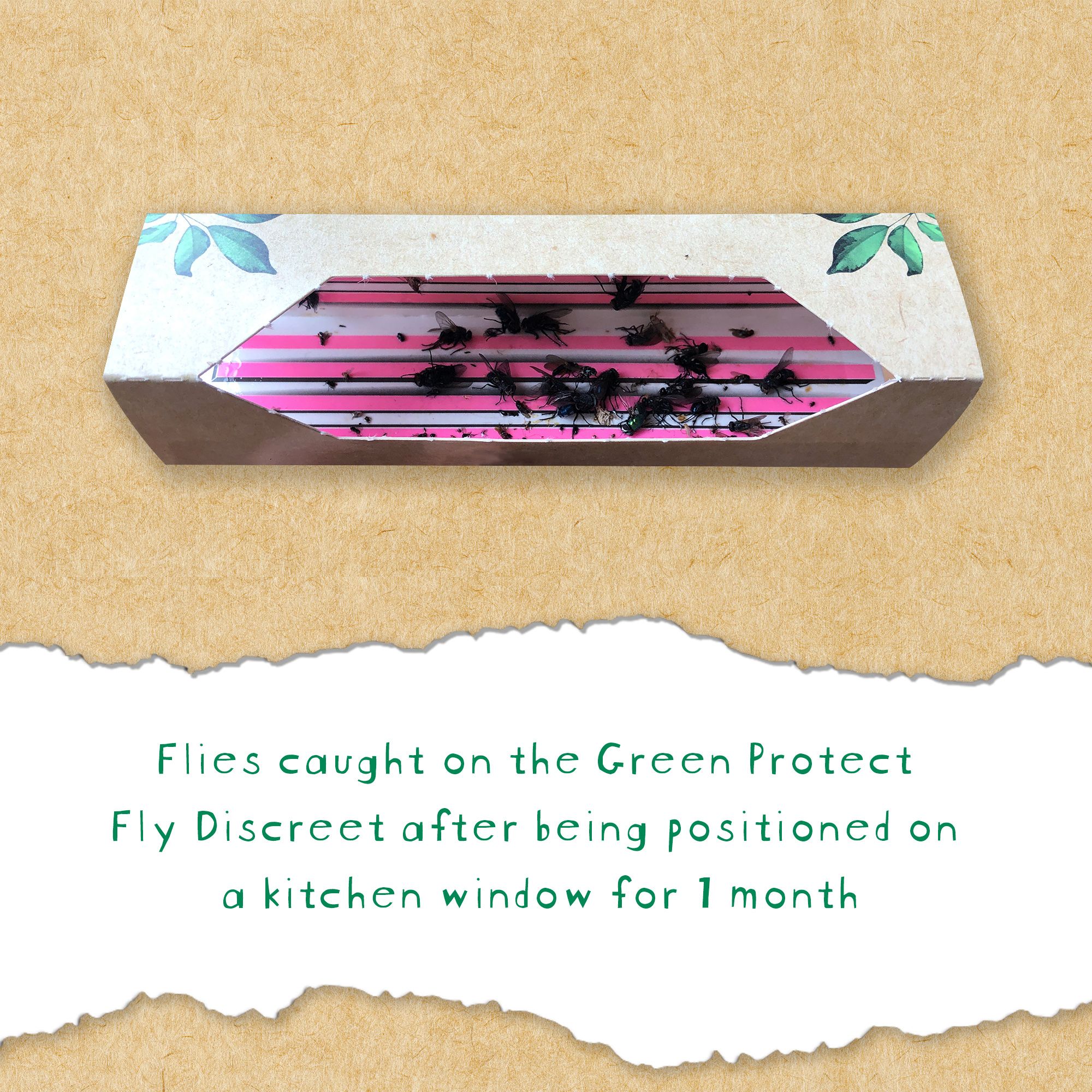 Green Protect Discreet Fly Trap, Pack of 3