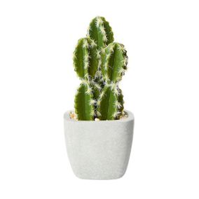 Green San pedro cactus Artificial plant, 18cm