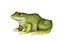 Green & yellow Resin Frog Garden ornament (H)10.8cm