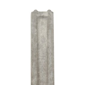 Grey Concrete Gravel board (L)1.83m (W)150mm (T)50mm, Pack of 4