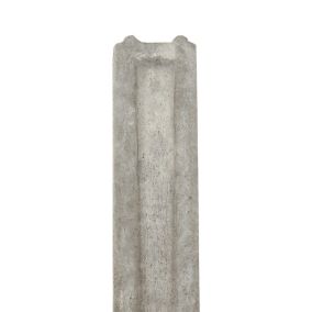 Grey Concrete Gravel board (L)1.83m (W)150mm (T)50mm, Pack of 5
