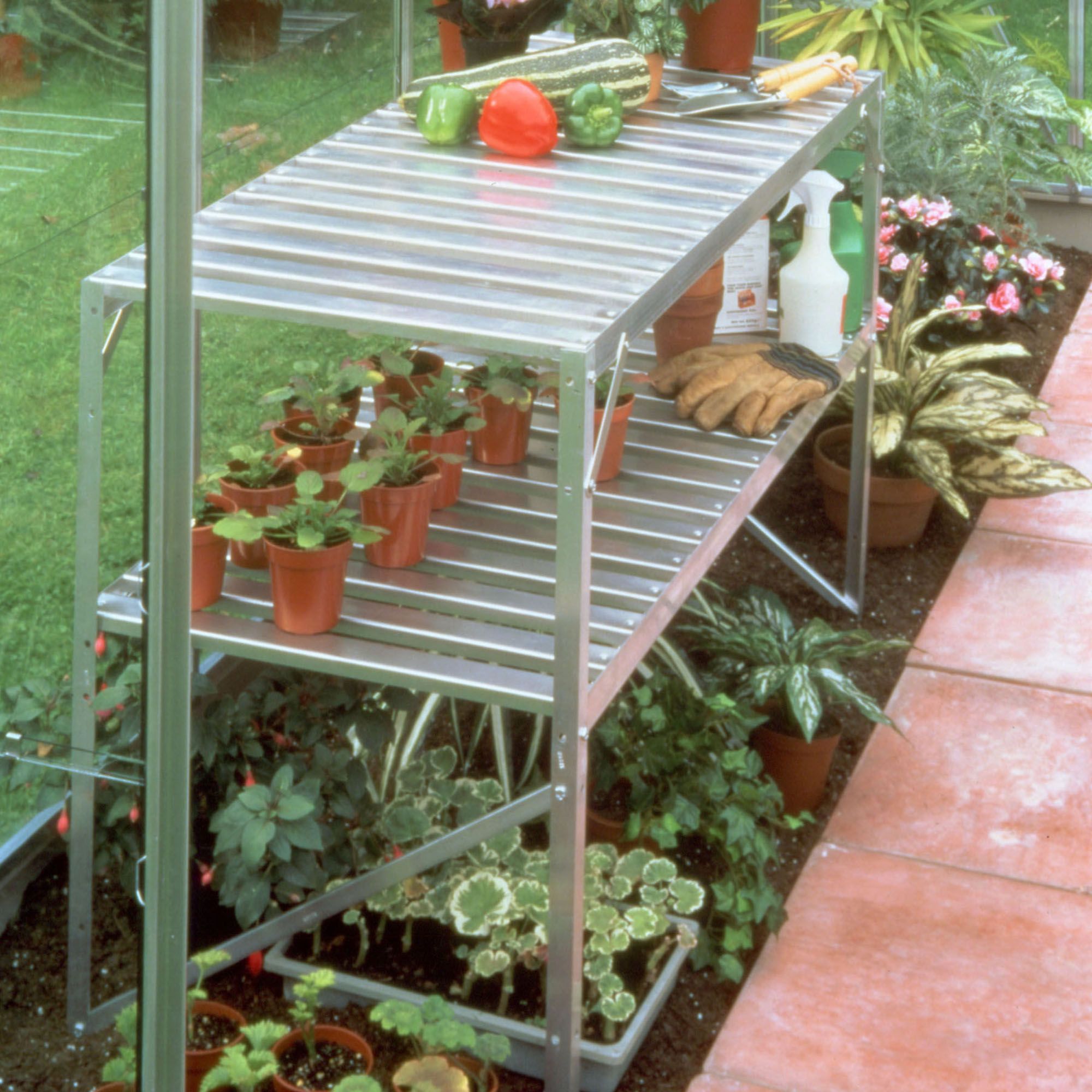 Halls 2 tier Greenhouse staging DIY at B&Q