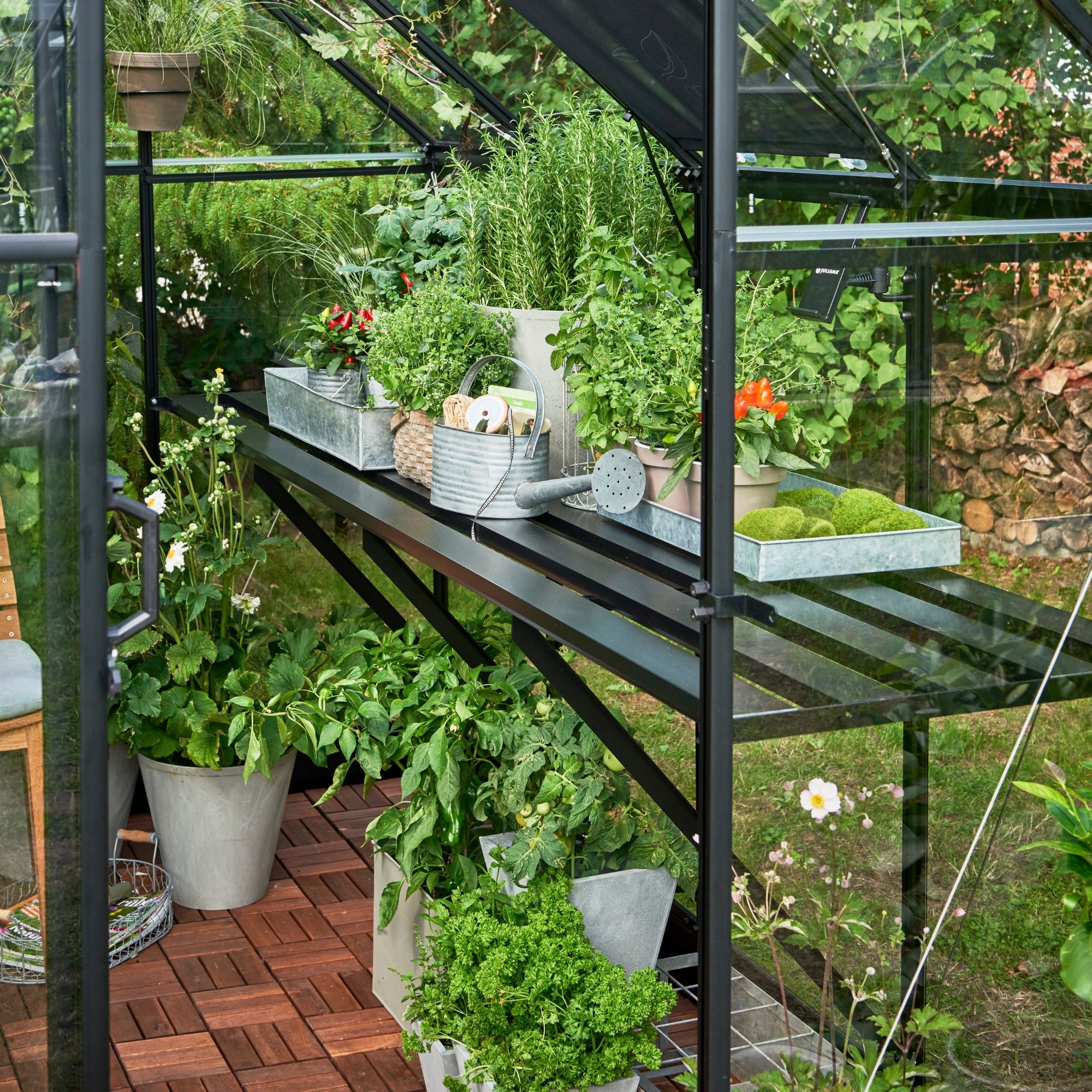 Wooden greenhouse staging b&q sale