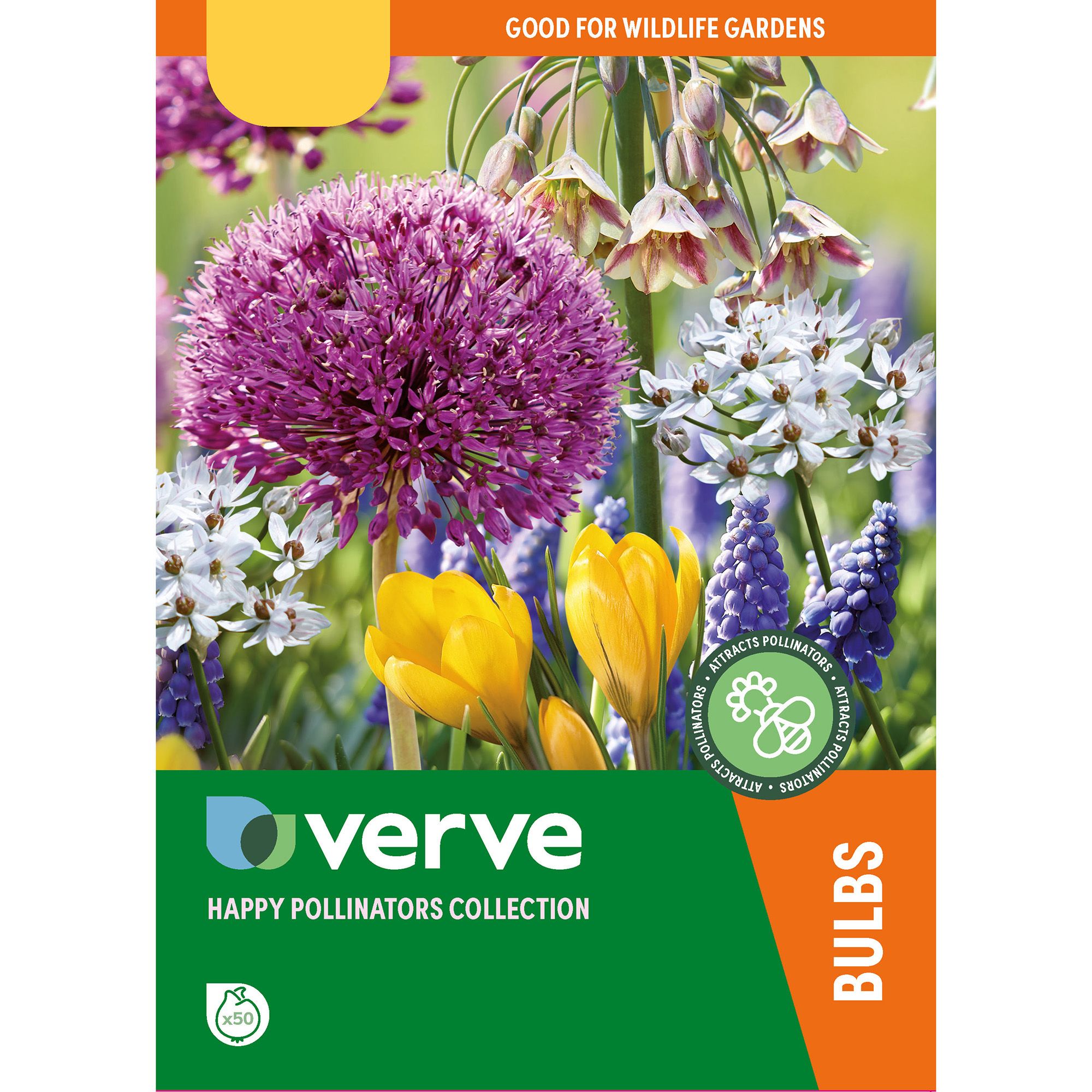 Happy pollinators collection 50 Flower bulbs