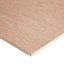 Hardwood Plywood Board (L)0.81m (W)0.41m (T)12mm 2000g