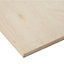 Hardwood Plywood Board (L)2.44m (W)1.22m (T)18mm