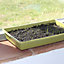 Haxnicks Sage green Seed Tray (L)37cm