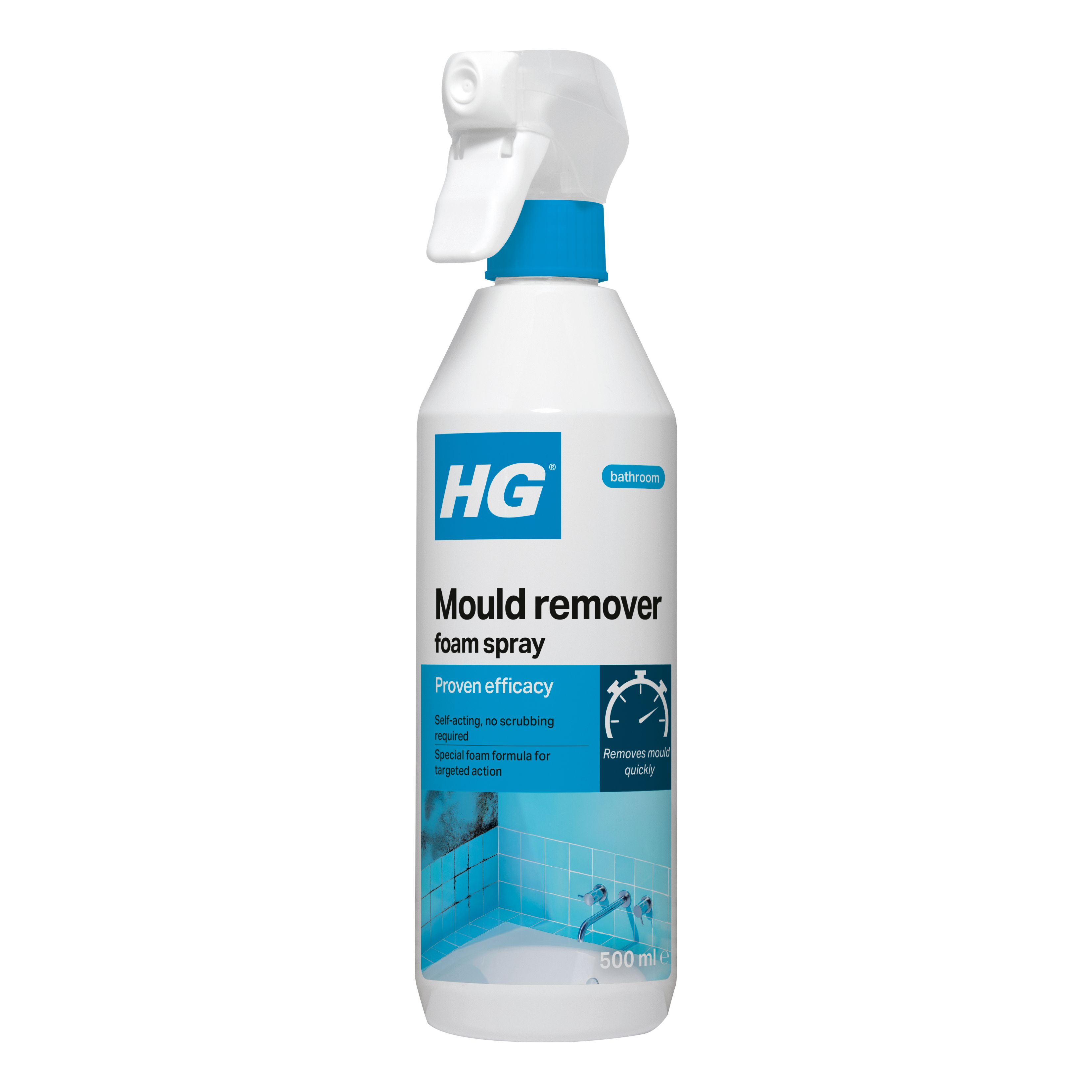 HG Interior Foam Mould remover, 500ml