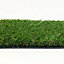 High density Artificial grass (L)3m (W)2m (T)30mm