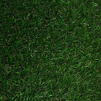 High density Artificial grass (W)2m (T)30mm