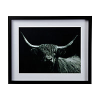 Highland spirit bull Black Framed print (H)43cm x (W)53cm