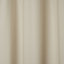 Hiva Beige Plain Unlined Eyelet Curtain (W)117cm (L)137cm, Single
