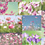 Holden Décor April Blue & pink Floral Wallpaper