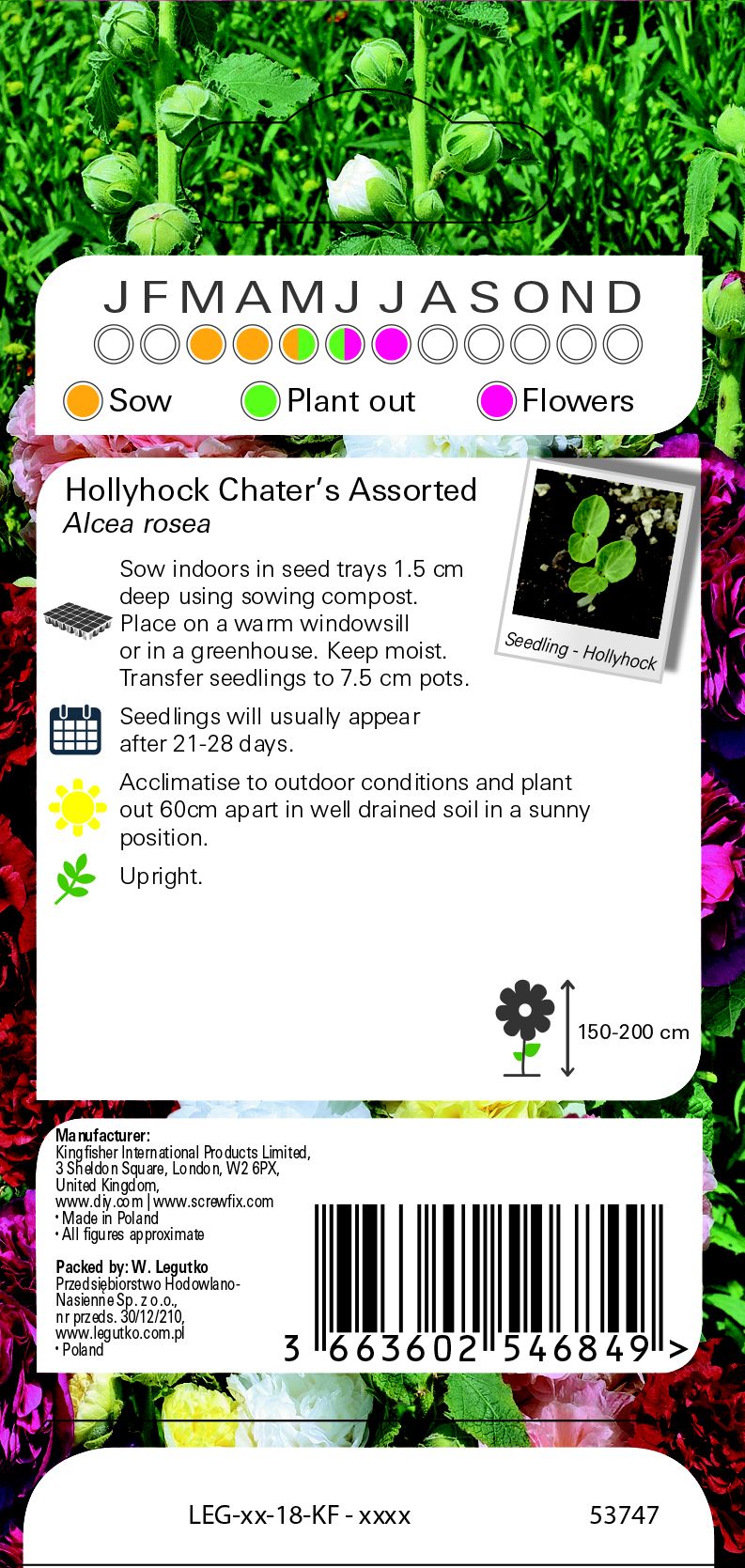 Hollyhock chaters Seed