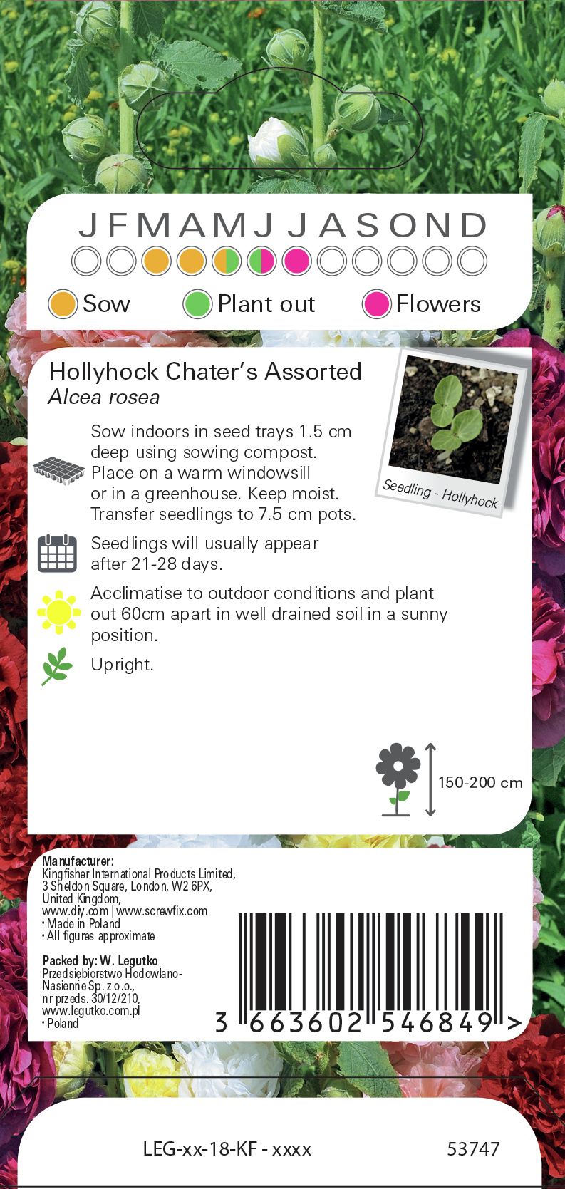 Hollyhock chaters Seed
