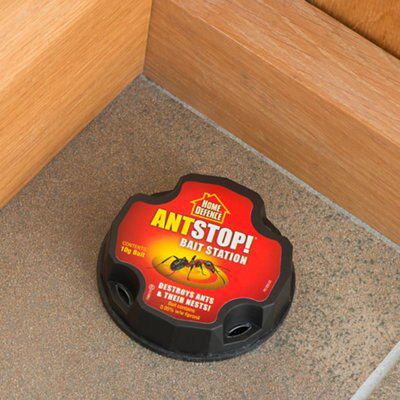 Home Defence AntStop! Ant Bait station