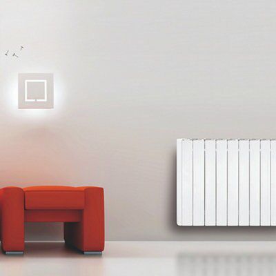 Hothouse 1000W Electric workshop heater