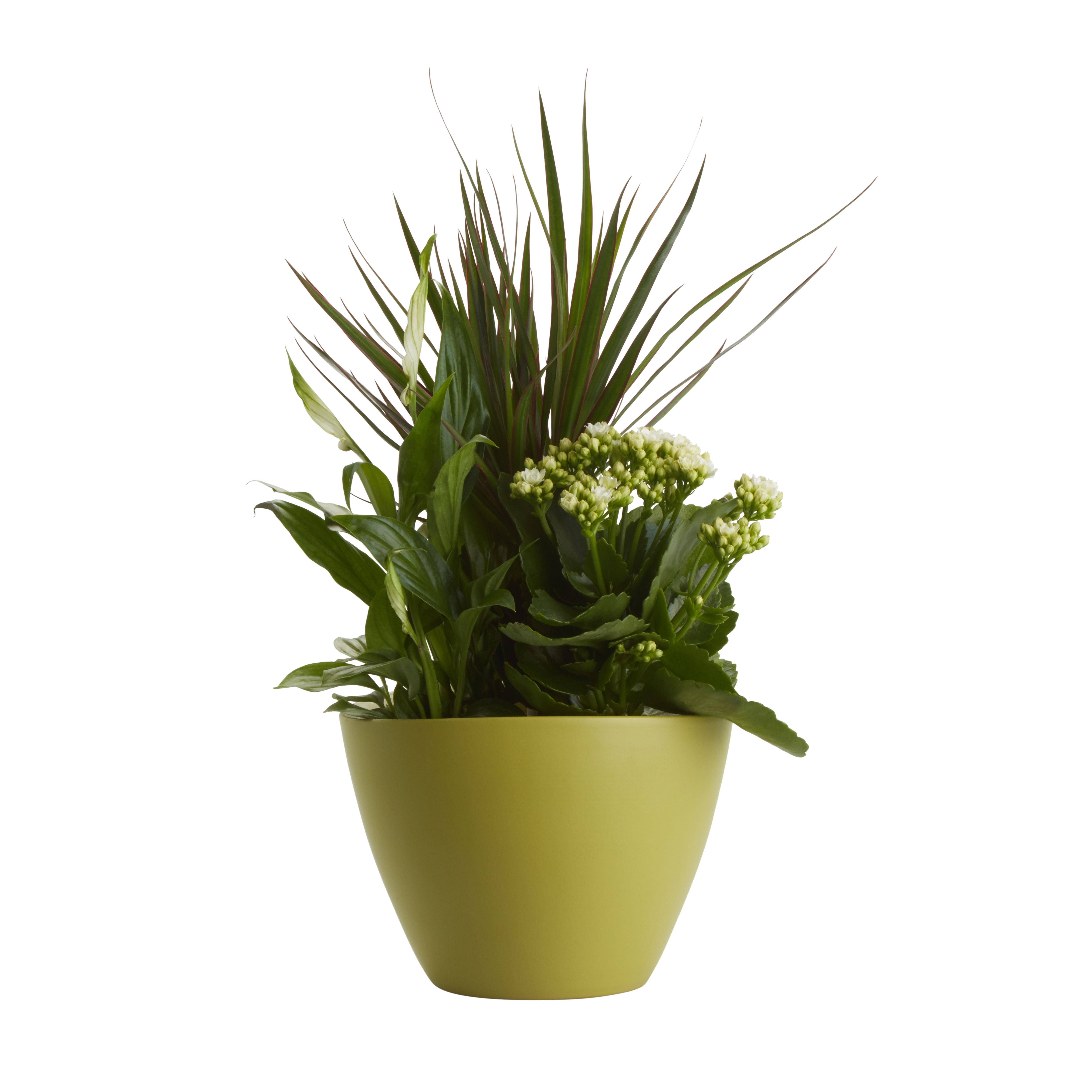 Indoor plant deals pots b&q