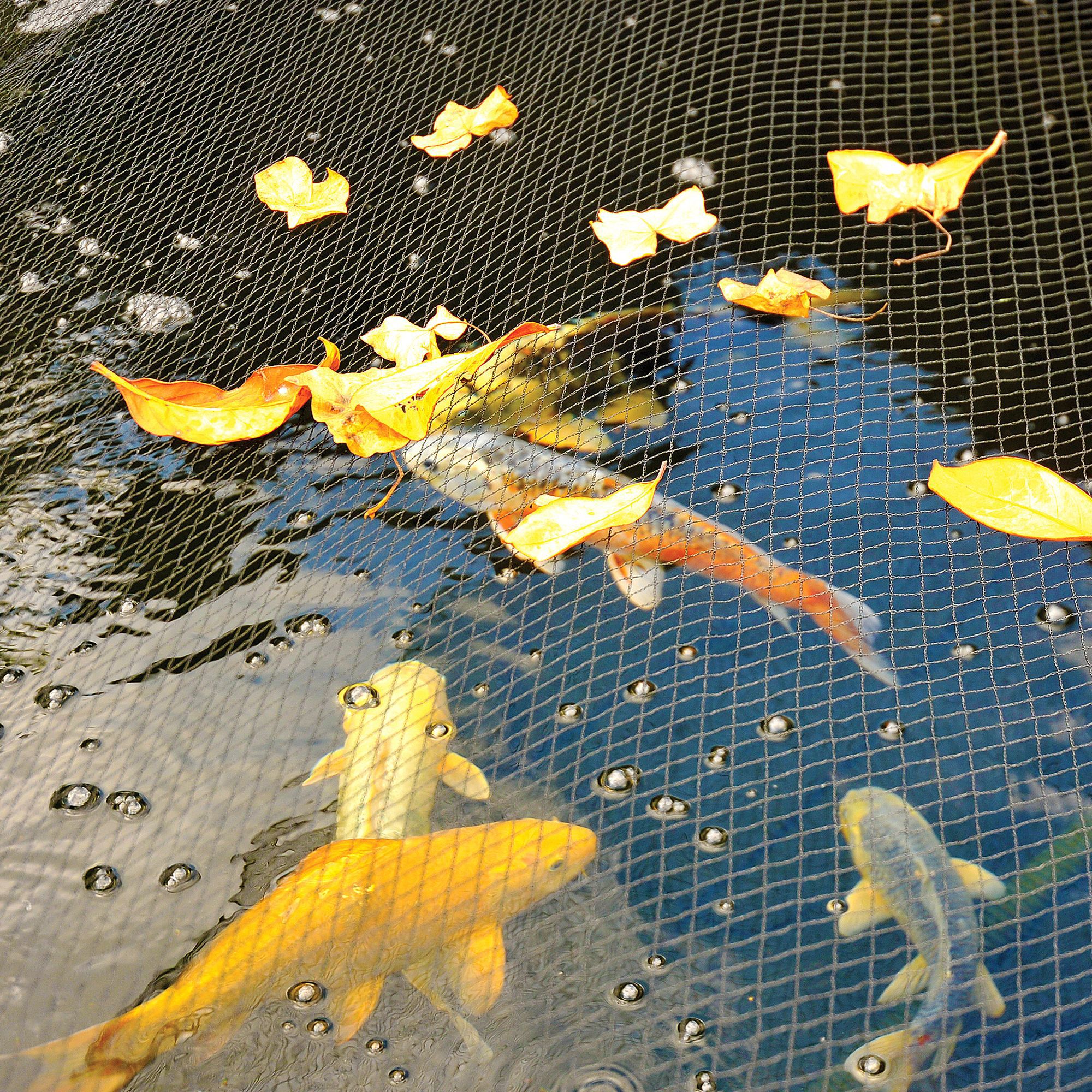 Kockney Koi Pond Cover Nets - Pond from Pond Planet Ltd UK