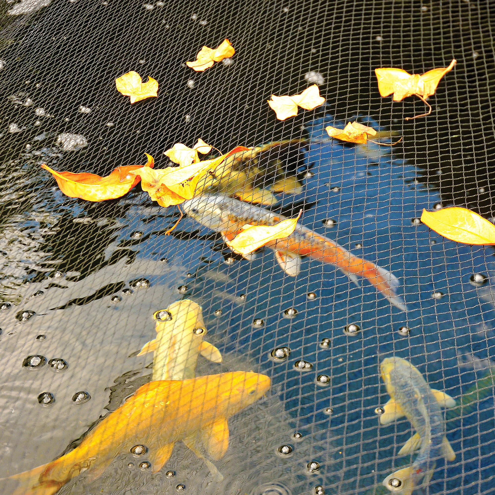 Get A Wholesale fish pond net For Property Protection 