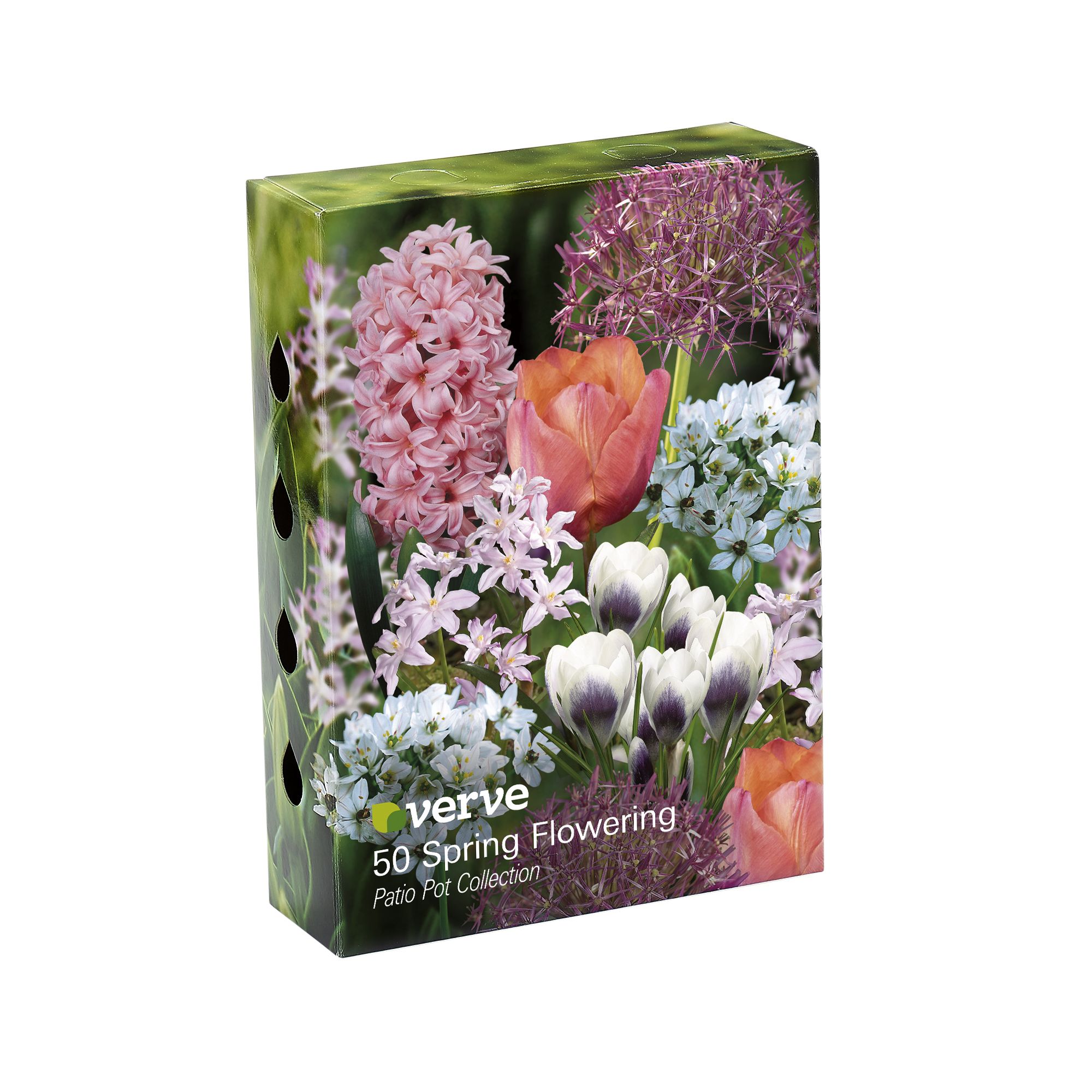Hyacinth Fondant, Tall Tulip Foxtrot, Glory Of The Snow Pink, Allium christophii, Allium neapolitanum, Crocus Pickwick 50 Flower bulbs