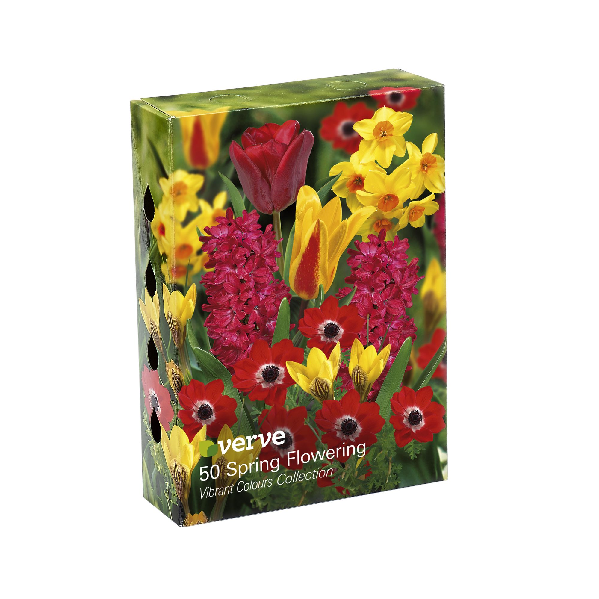 Hyacinth Jan Bos, Dwarf Tulip Giuseppe Verdi, Anemone Hollandia, Tall Tulip Prinses Irene, Crocus Dorothy, Tall Daffodil California 50 Flower bulbs
