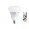 iDual E27 1055lm Globe LED Dimmable Light bulb