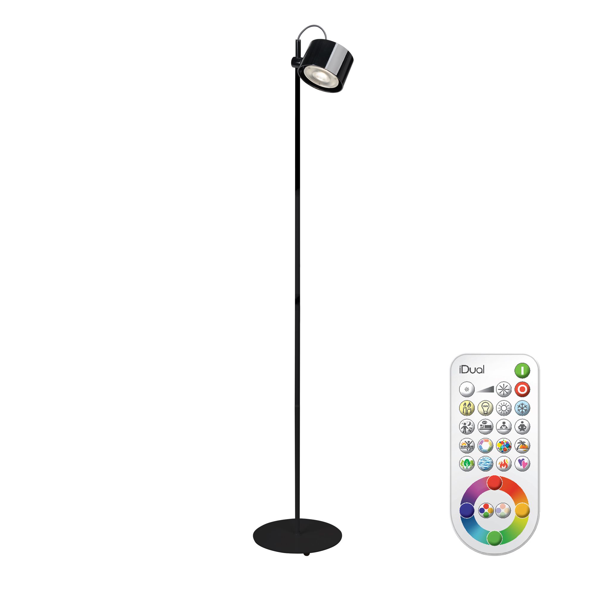 iDual Jasmine Gloss Black Floor lamp with remote