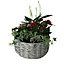 Indoor Plants Grey Wicker Decorative pot