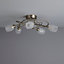 Inlight Forbes classic Brushed Satin Glass & metal chrome effect 5 Lamp Ceiling light