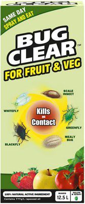 Insecticide