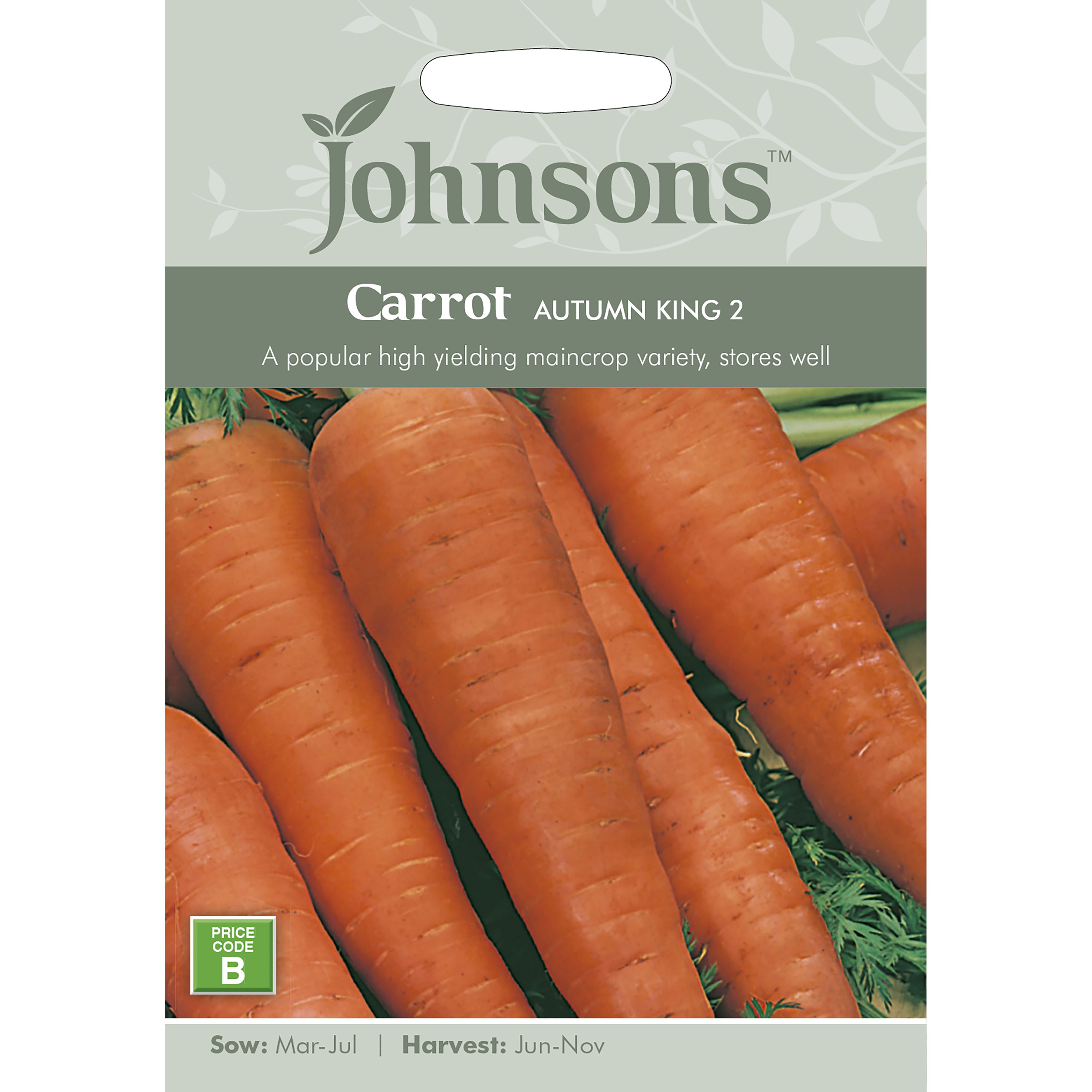 Johnsons Autumn King 2 Carrot Seeds