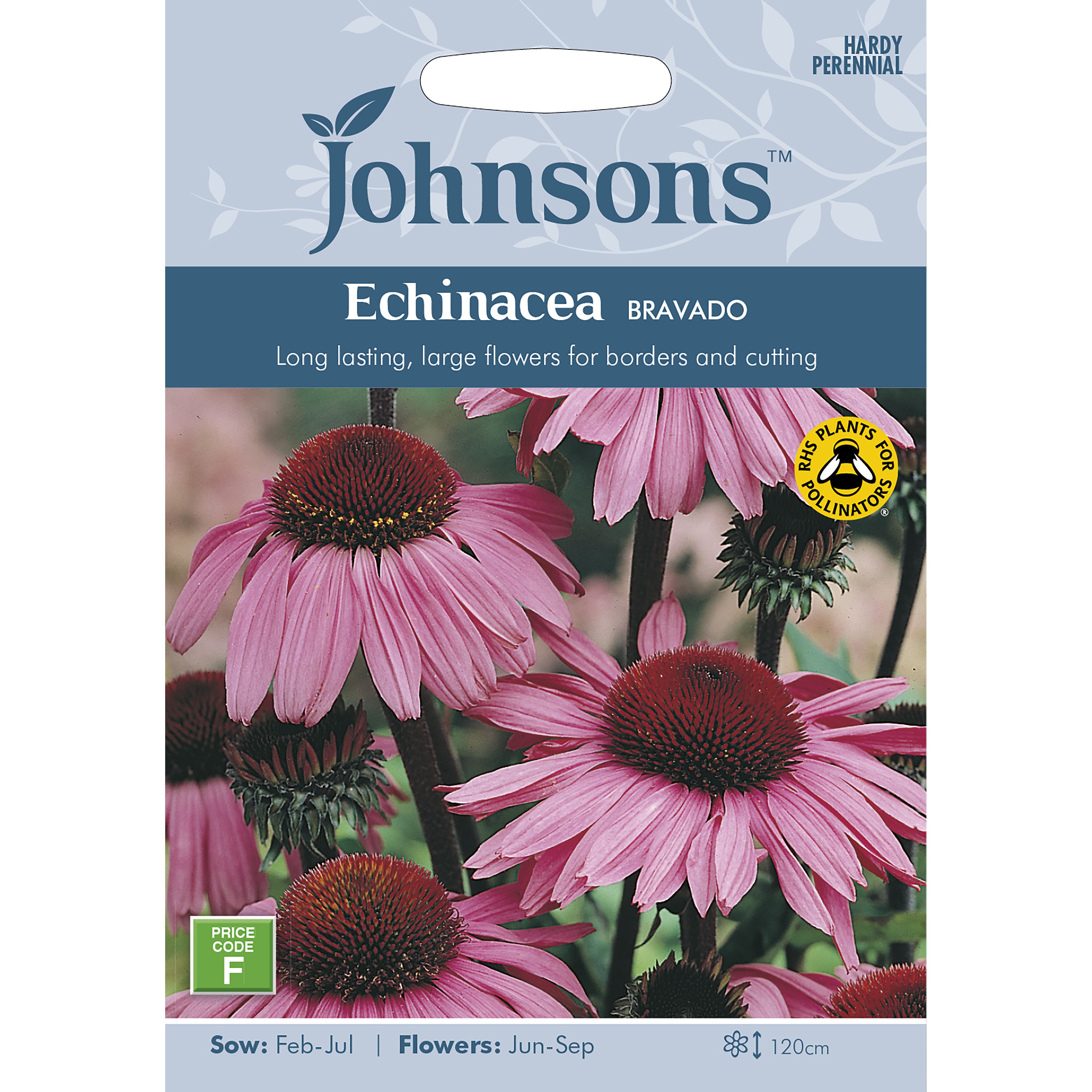 Johnsons Bravado Echinacea Seed | DIY at B&Q