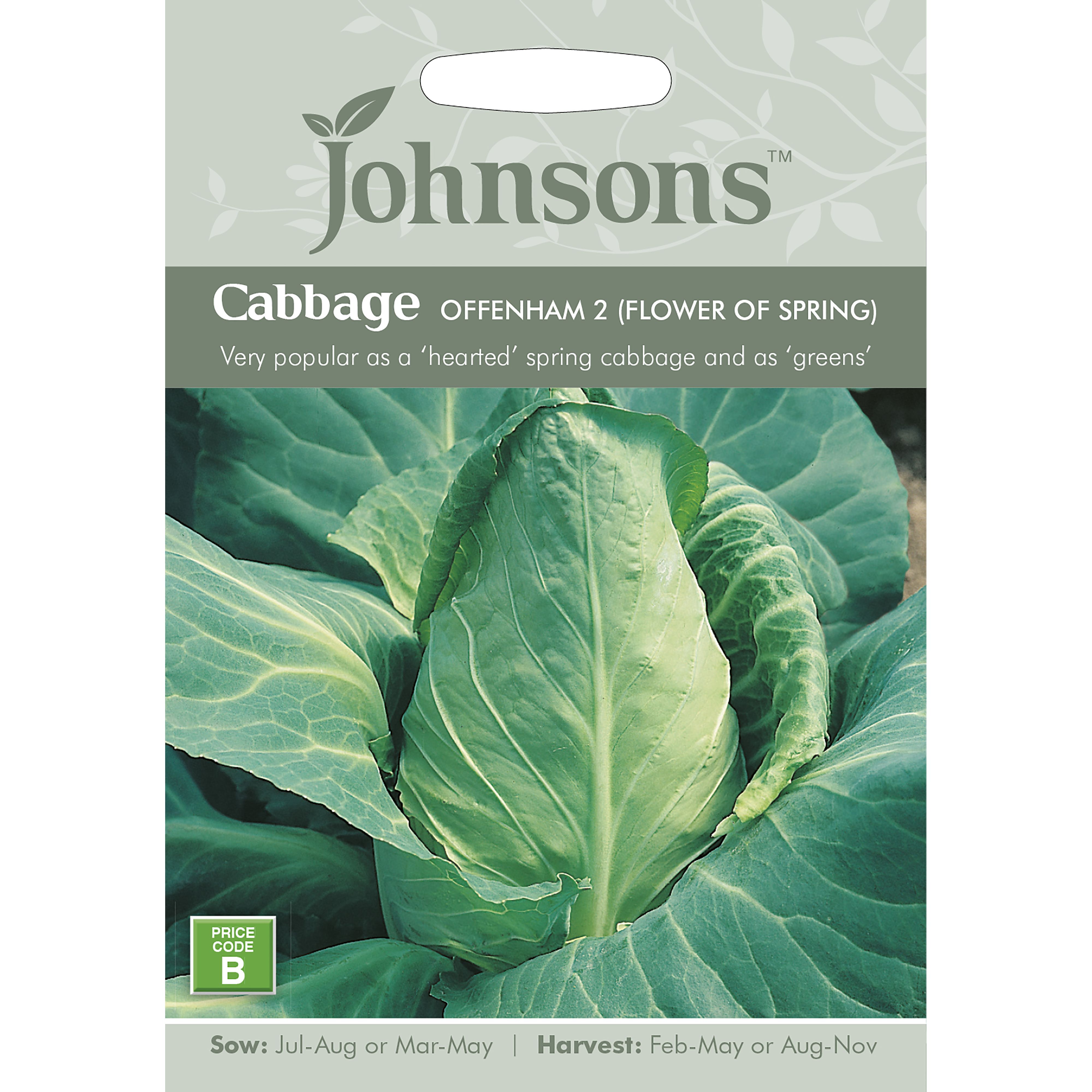 Johnsons Offenham 2 (Flower of Spring) Cabbage Seeds | DIY at B&Q