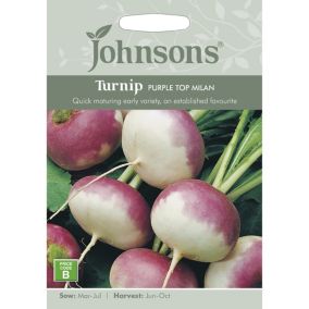 Johnsons Purple Top Milan Turnip Seeds