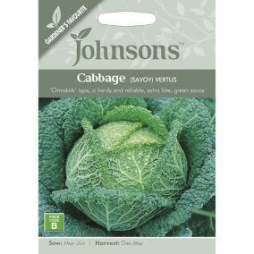 Johnsons Vertus Cabbage Seeds