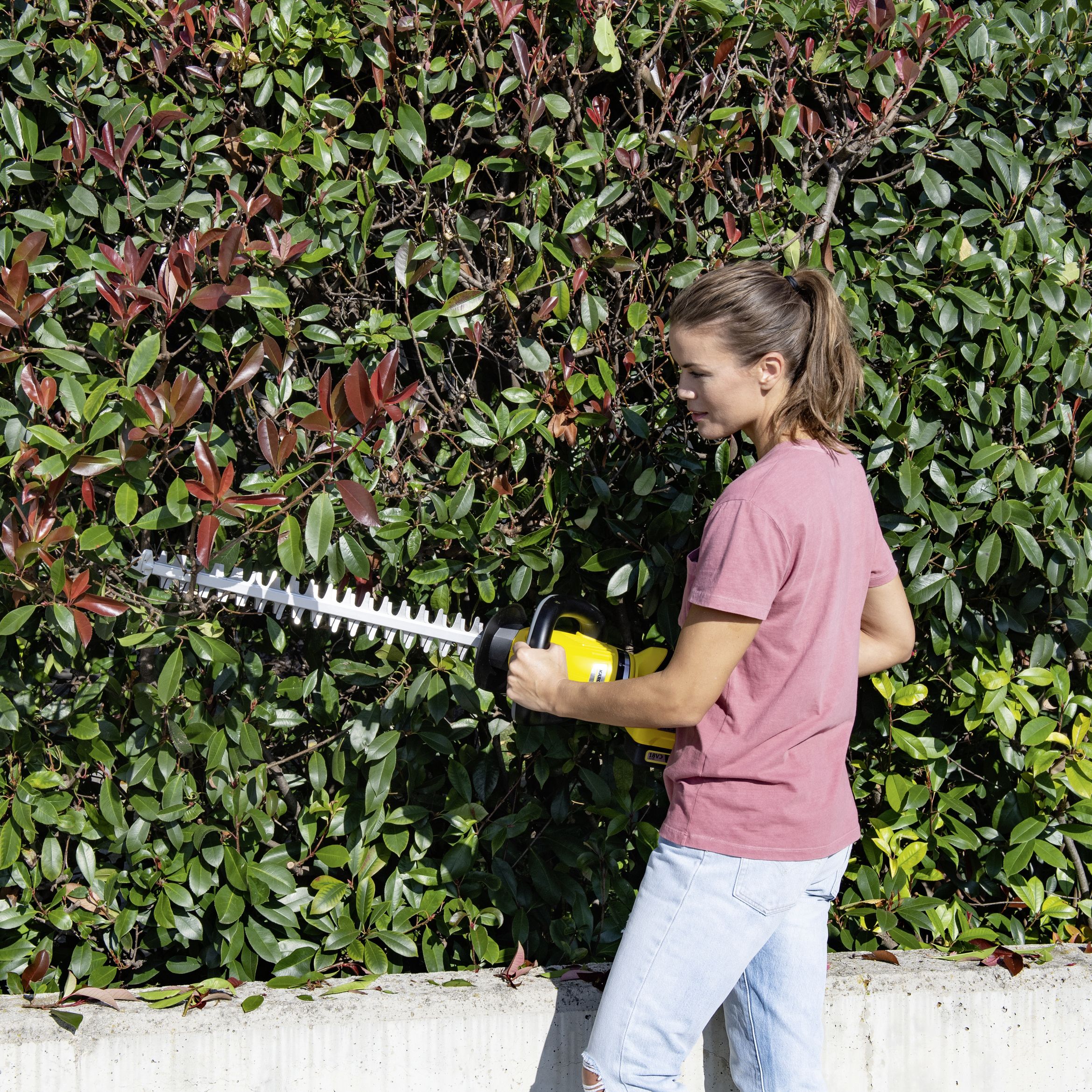 Kärcher 18V Cordless Hedge trimmer (1 x 2.5Ah) - 14442420