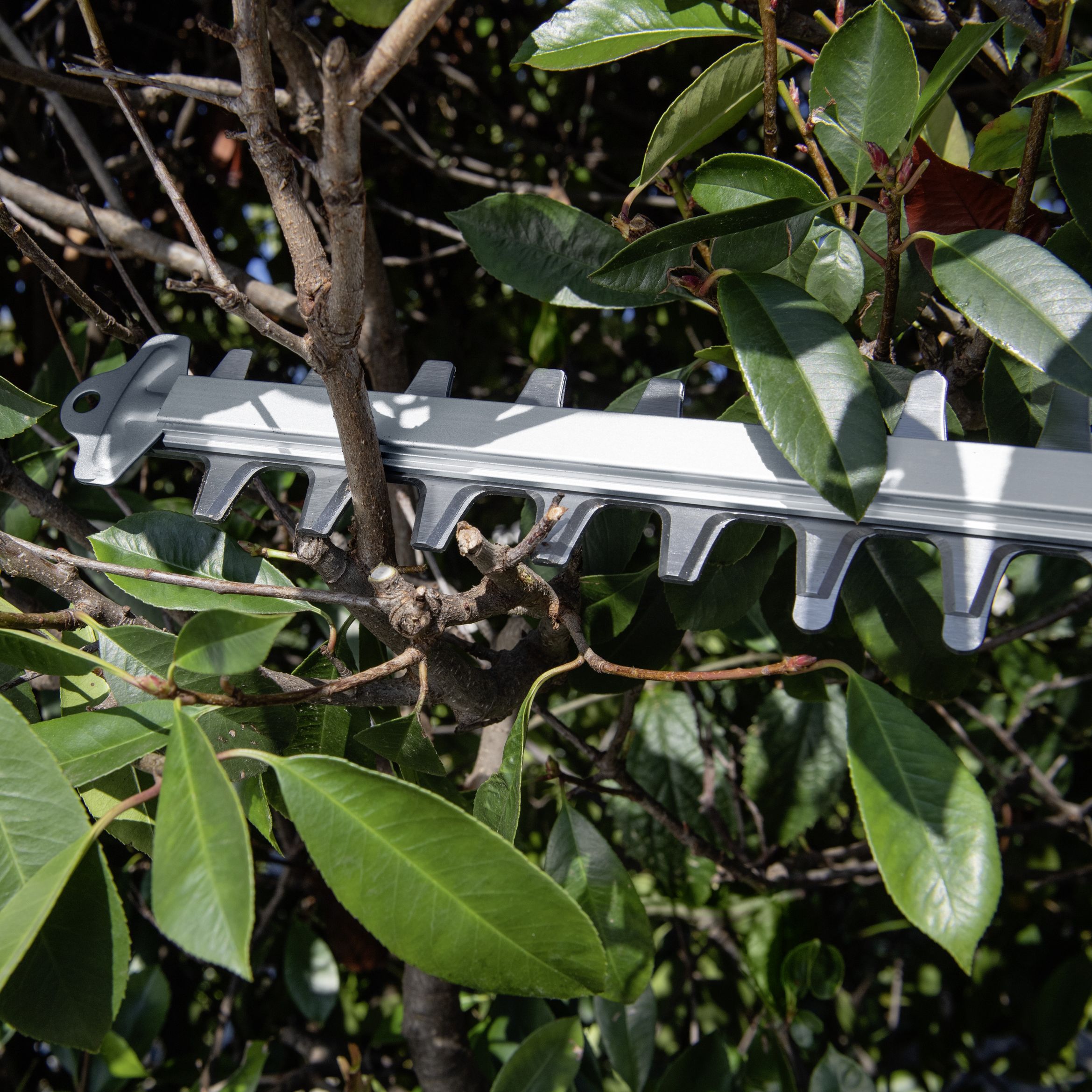 Kärcher 18V Cordless Hedge trimmer (1 x 2.5Ah) - 14442420