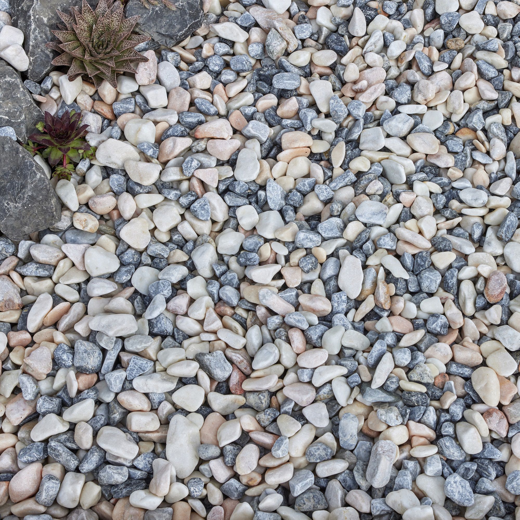 Kelkay Candy Blossom Premium Collection 25-40mm Pebbles