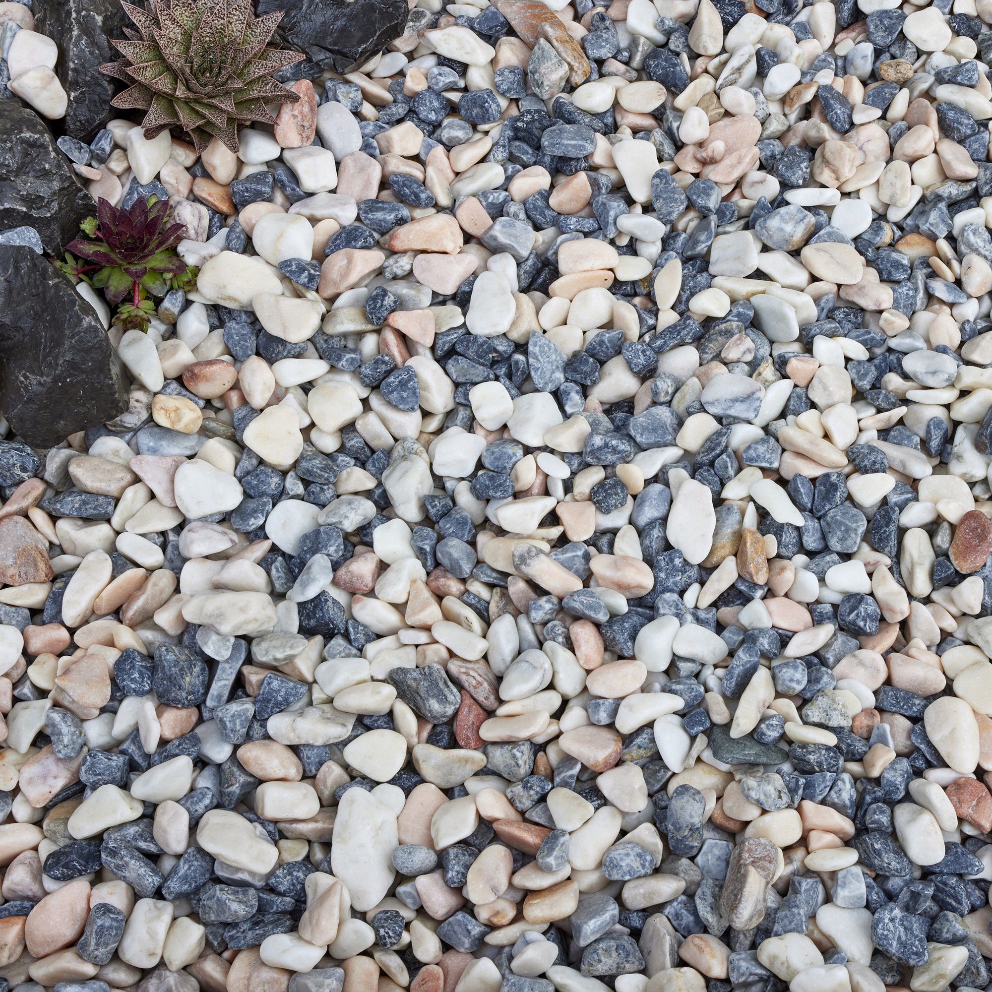 Kelkay Candy Blossom Premium Collection 25-40mm Pebbles