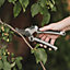 Kent & Stowe Garden Cutting Grey & Black Bypass Secateurs (H) 266mm x (W) 180mm