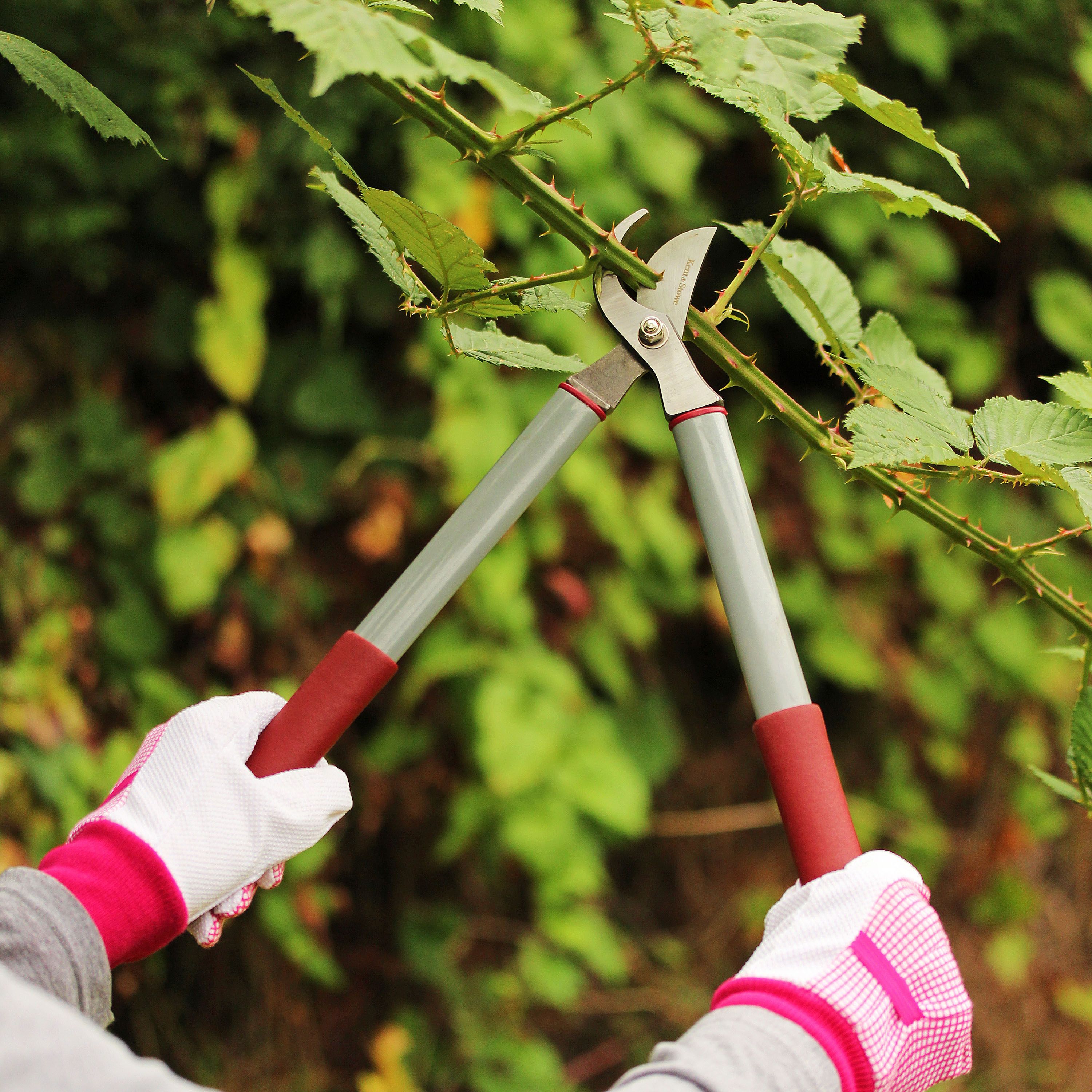 Garden deals loppers b&q